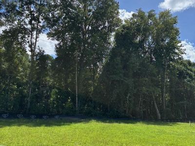 0 Shine , Moncks Corner, SC 29461