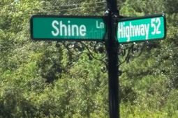 0 Shine  photo 4