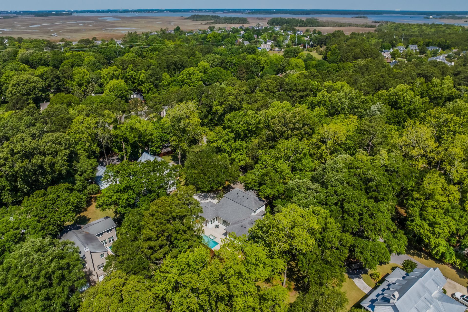 371 Live Palmetto Bluff Photo 82