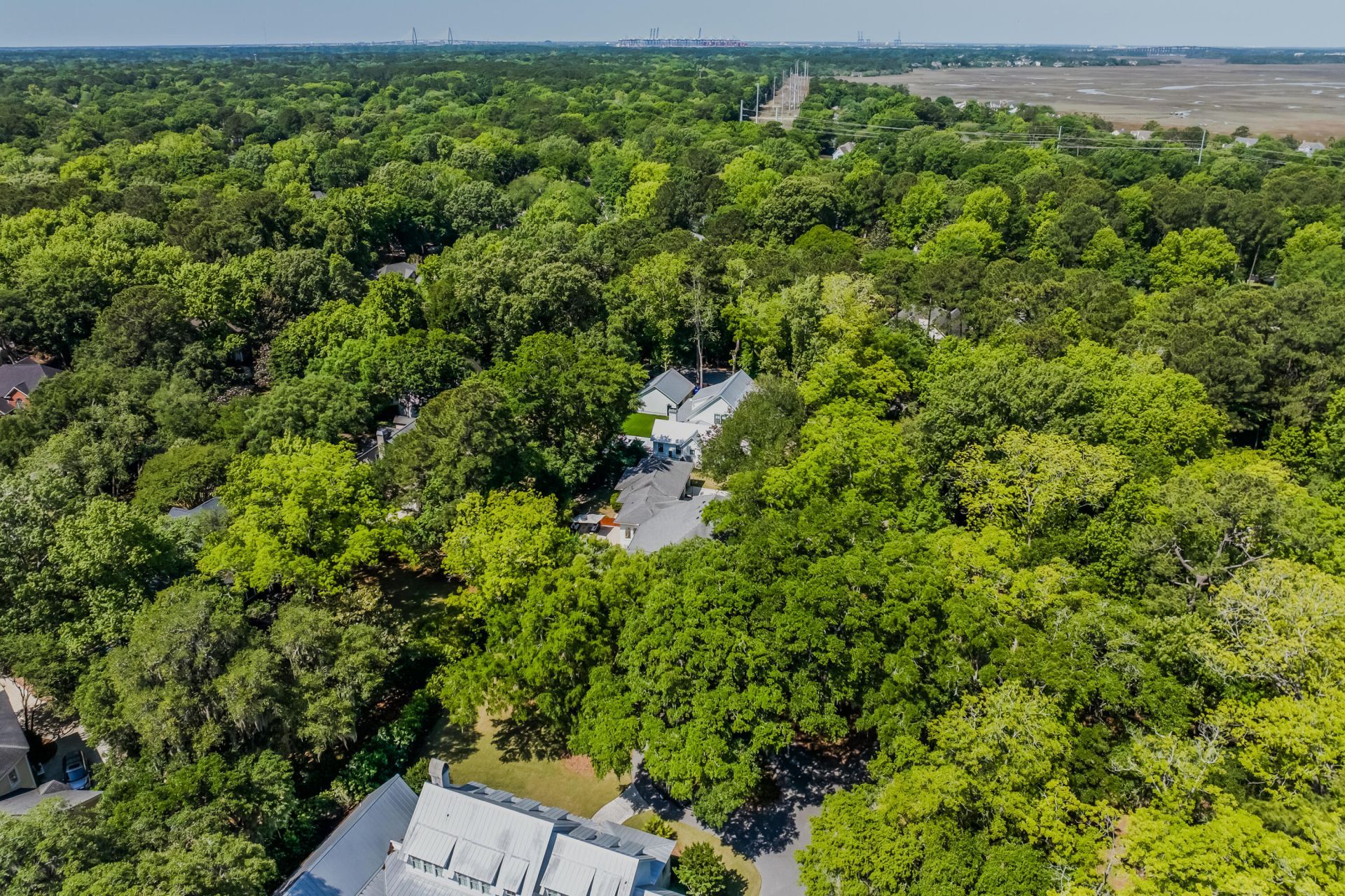371 Live Palmetto Bluff Photo 84