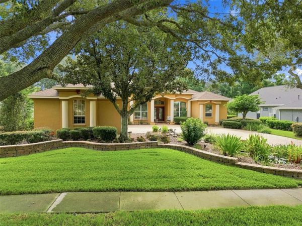 2931 HILLSIDE RAMBLE DRIVE , BRANDON, FL 33511