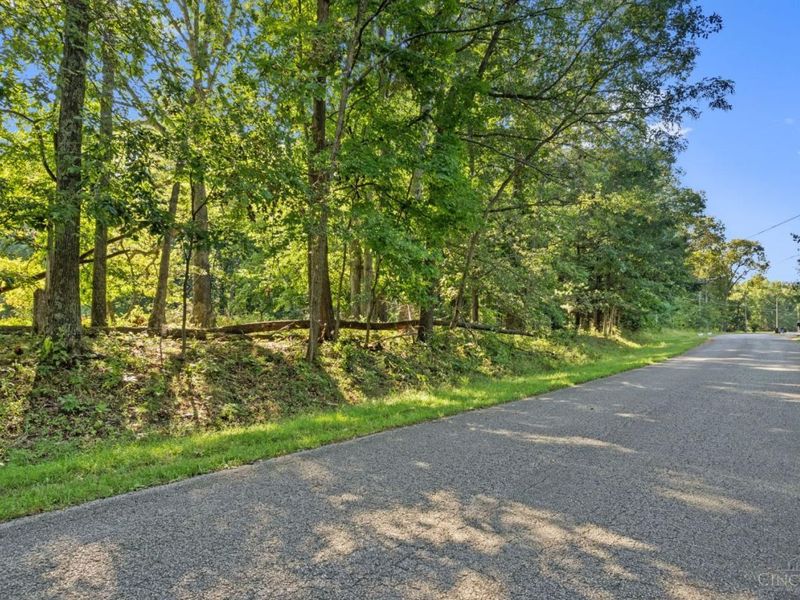 0 Brave Drive, Unit 1169, Jackson Township, OH 45171 Photo 9