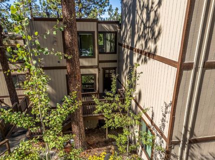 157 Holly Lane, Stateline, NV 89449 Photo