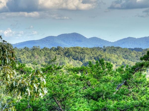 Lot #38 Ridgeline Lane, Mineral Bluff, GA 30559