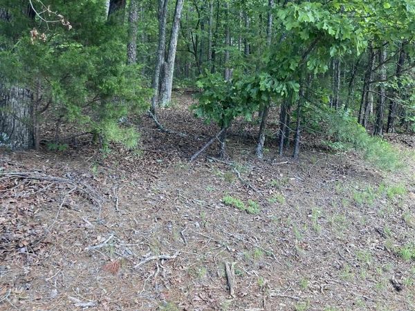 000 Dave Creek Pkwy, Fairfield Bay, AR 72088