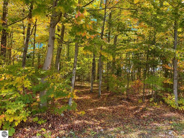 3930 Spruceview Lane, Mackinac Island, MI 49797