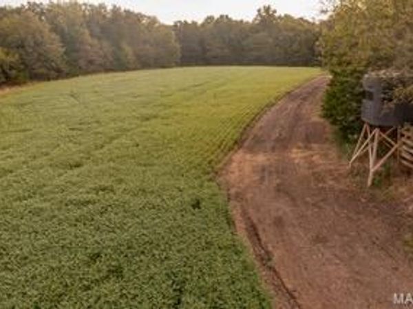 00 Abbott Road , Bellflower, MO 63333