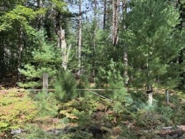 V/L 2.5AC S Roscommon Road, Prudenville, MI 48651