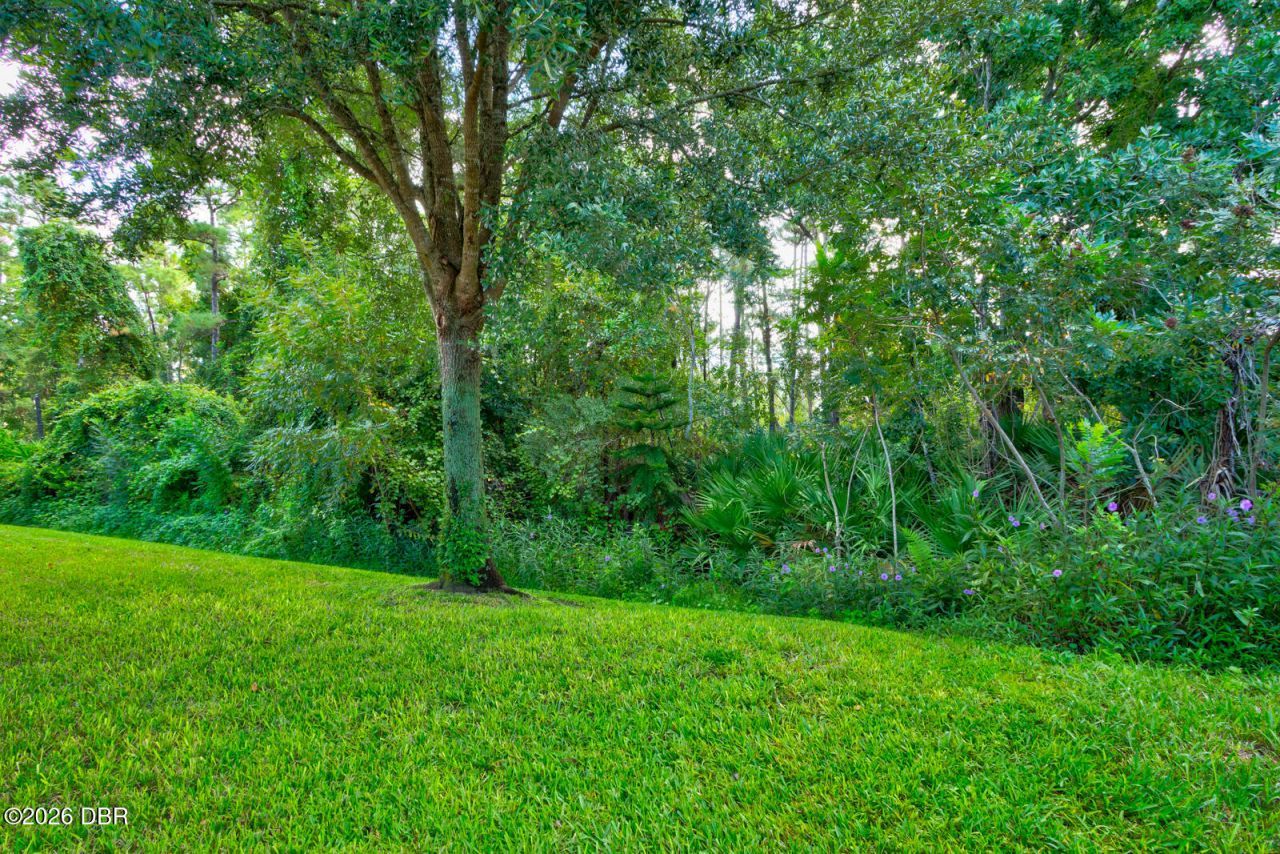 529 White Coral Lane, New Smyrna Beach, FL 32168 Photo
