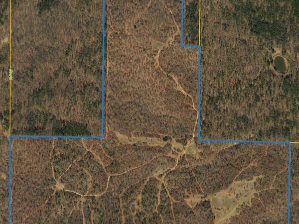 328 County Road 6600 , Licking, MO 65542