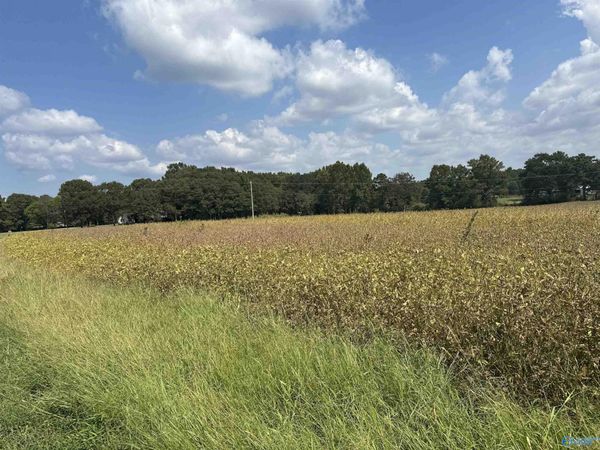 1929 North Carlisle Street, Albertville, AL 35951