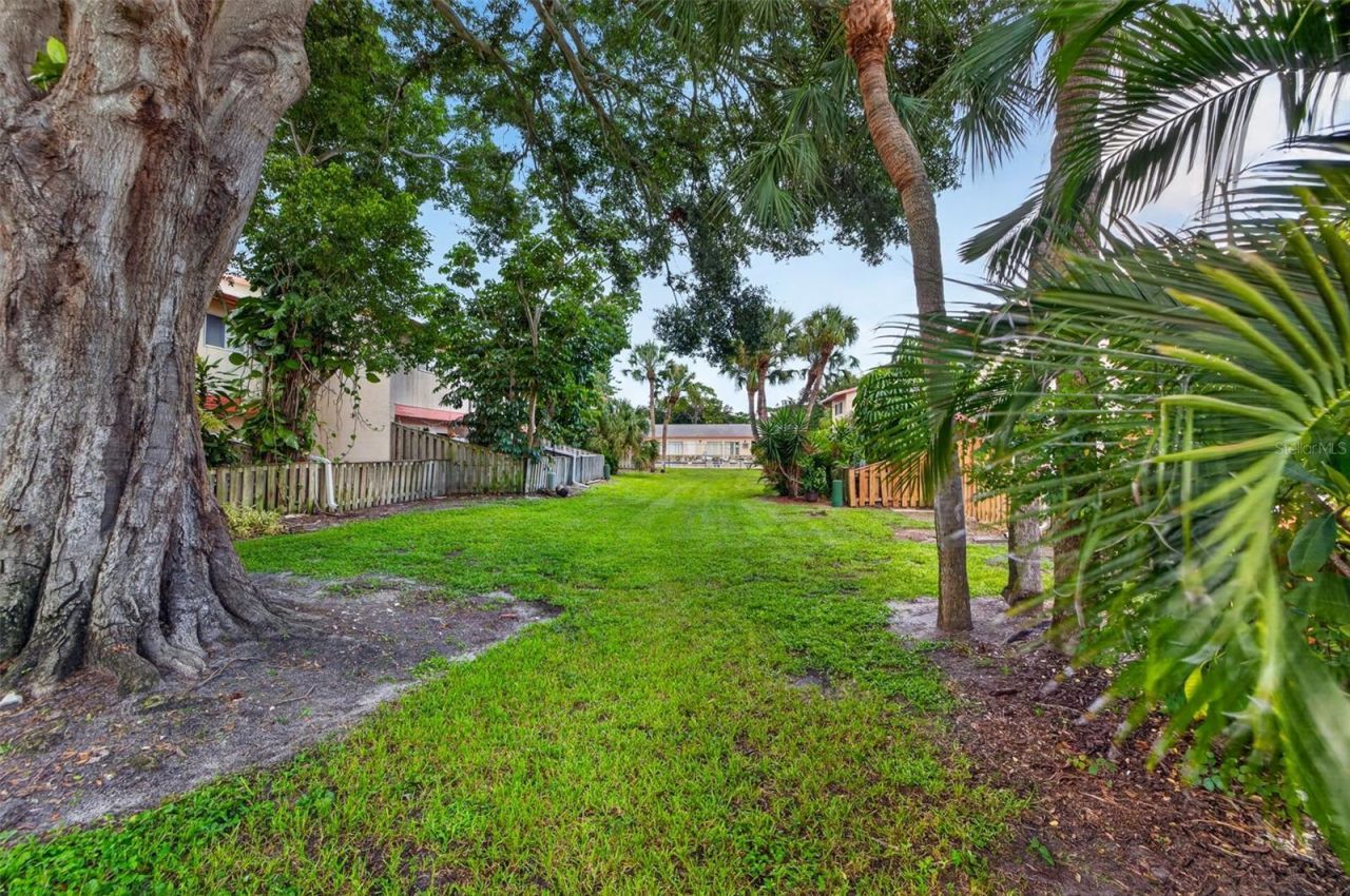 1625 58th Terrace S, Unit 1, Saint Petersburg, FL 33712 Photo
