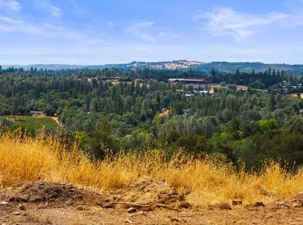Coon Hollow Rd, Placerville, CA 95667 Photo