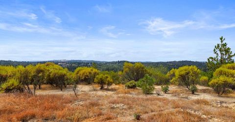 Coon Hollow Rd, Placerville, CA 95667 Photo