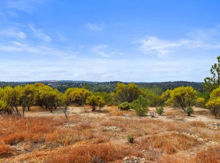 Coon Hollow Rd, Placerville, CA 95667 Photo