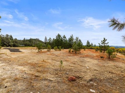 Coon Hollow Rd, Placerville, CA 95667 Photo