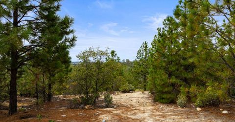 Coon Hollow Rd, Placerville, CA 95667 Photo