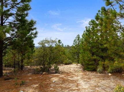 Coon Hollow Rd, Placerville, CA 95667 Photo