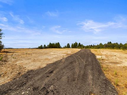 Coon Hollow Rd, Placerville, CA 95667 Photo