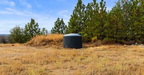 Coon Hollow Rd, Placerville, CA 95667 Photo