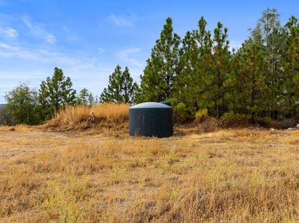 Coon Hollow Rd, Placerville, CA 95667 Photo