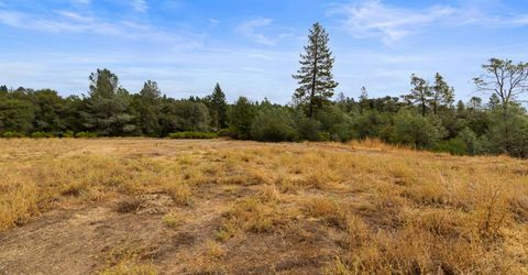 Coon Hollow Rd, Placerville, CA 95667 Photo