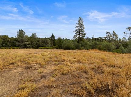 Coon Hollow Rd, Placerville, CA 95667 Photo