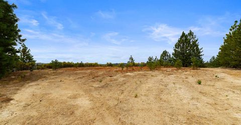 Coon Hollow Rd, Placerville, CA 95667 Photo