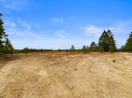 Coon Hollow Rd, Placerville, CA 95667 Photo