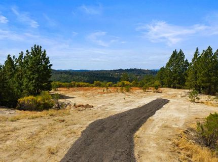 Coon Hollow Rd, Placerville, CA 95667 Photo
