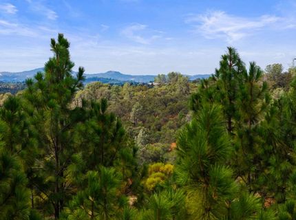 Coon Hollow Rd, Placerville, CA 95667 Photo
