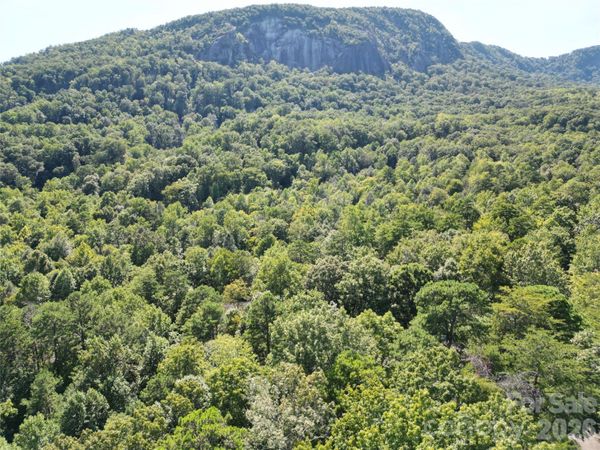 Lot 124, 125, & 101 Banjo Court , Lake Lure, NC 28746