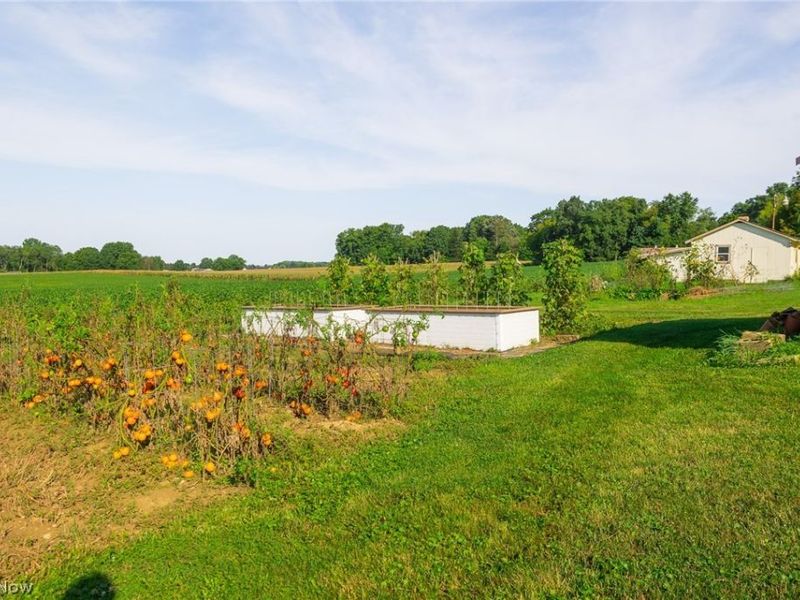 4499 Kidron Road, Dalton, OH 44618 Photo 37