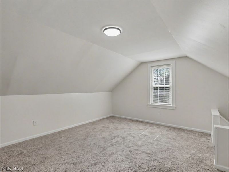 10316 Way Avenue, Cleveland, OH 44105 Photo 20