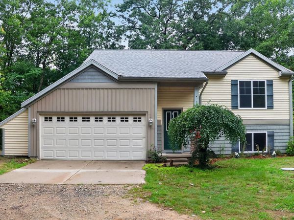 21784 Center Drive, Pierson, MI 49339