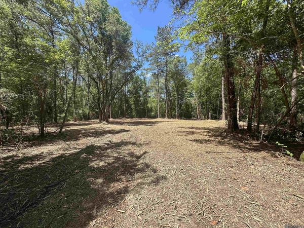 564 Acres Heritage Acres Ln, Robert, LA 70455