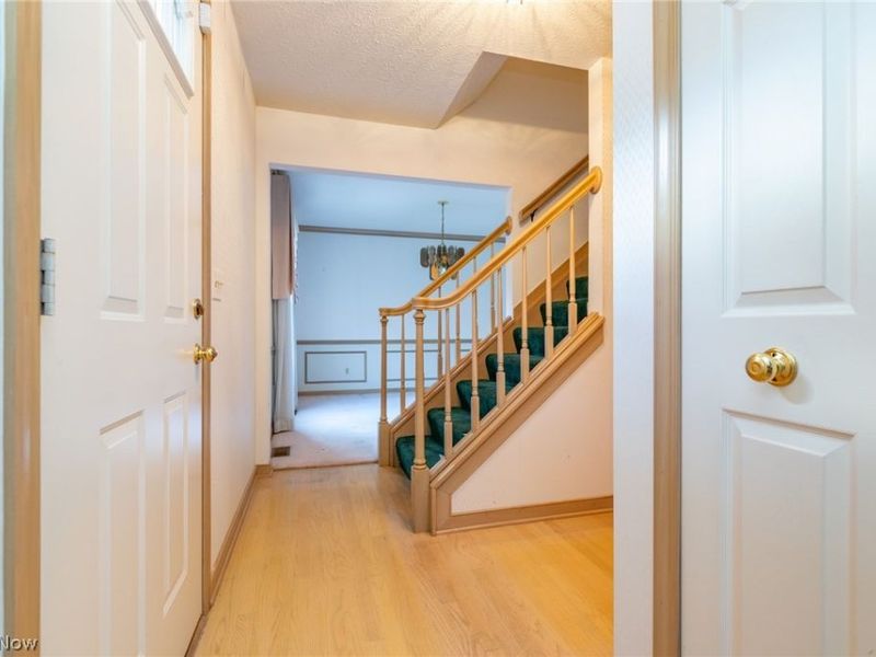 5920 Stephanie Lane, Solon, OH 44139 Photo 2