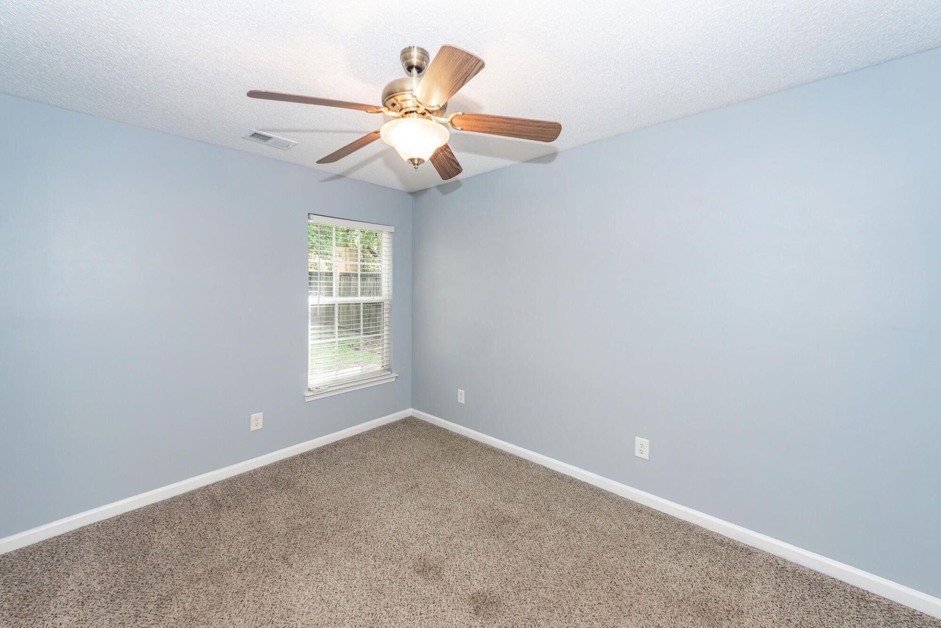 248 Trickle Drive Photo 11