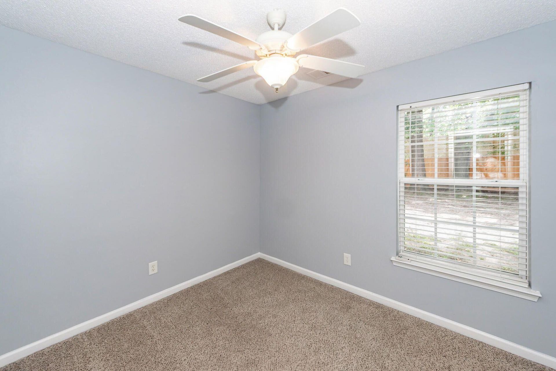 248 Trickle Drive Photo 14