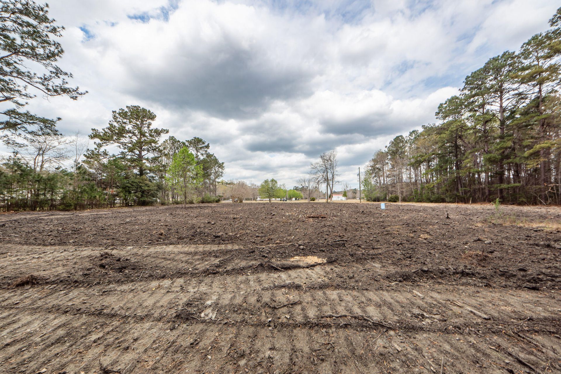 118 Ponderosa Road Photo 10