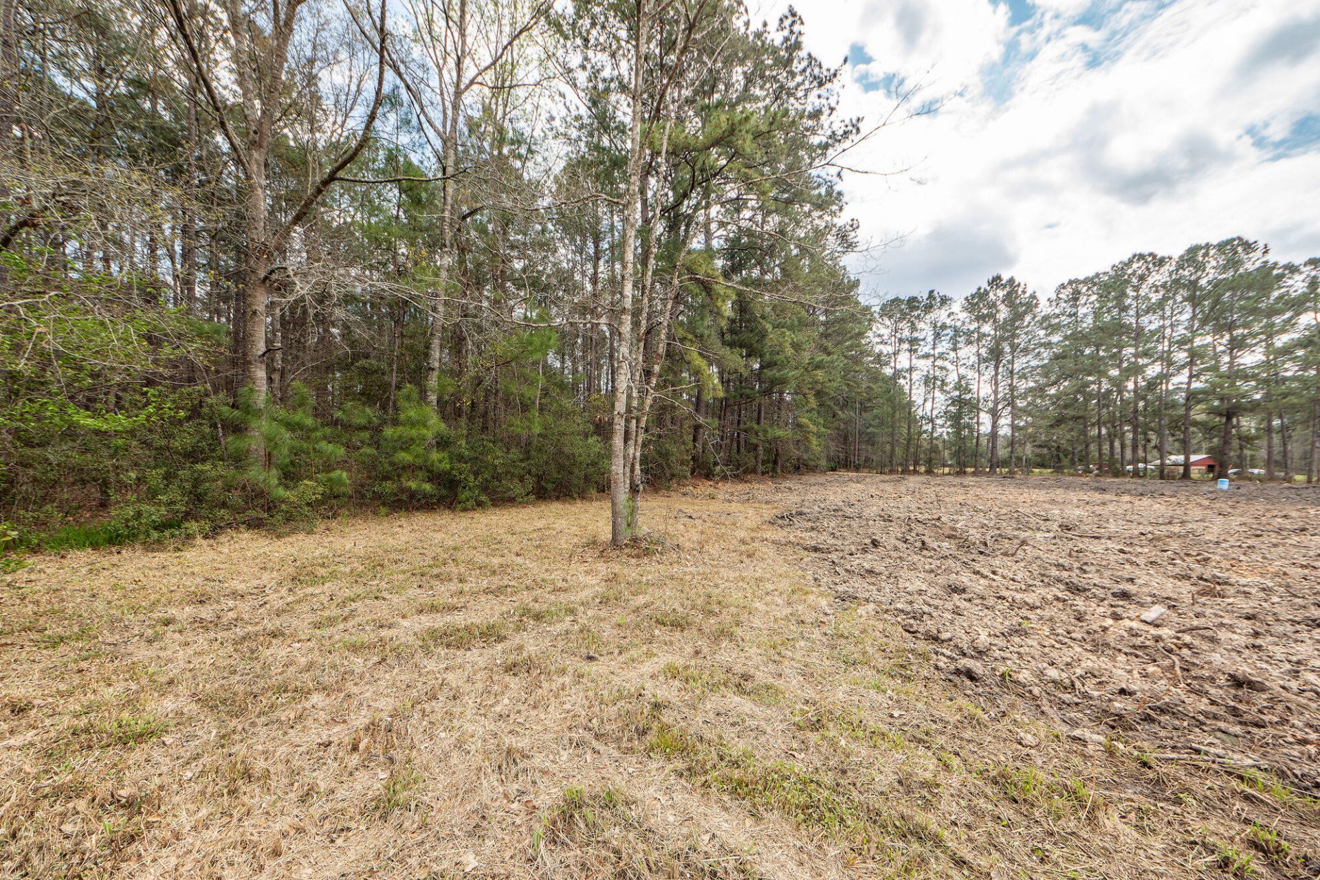 118 Ponderosa Road Photo 15