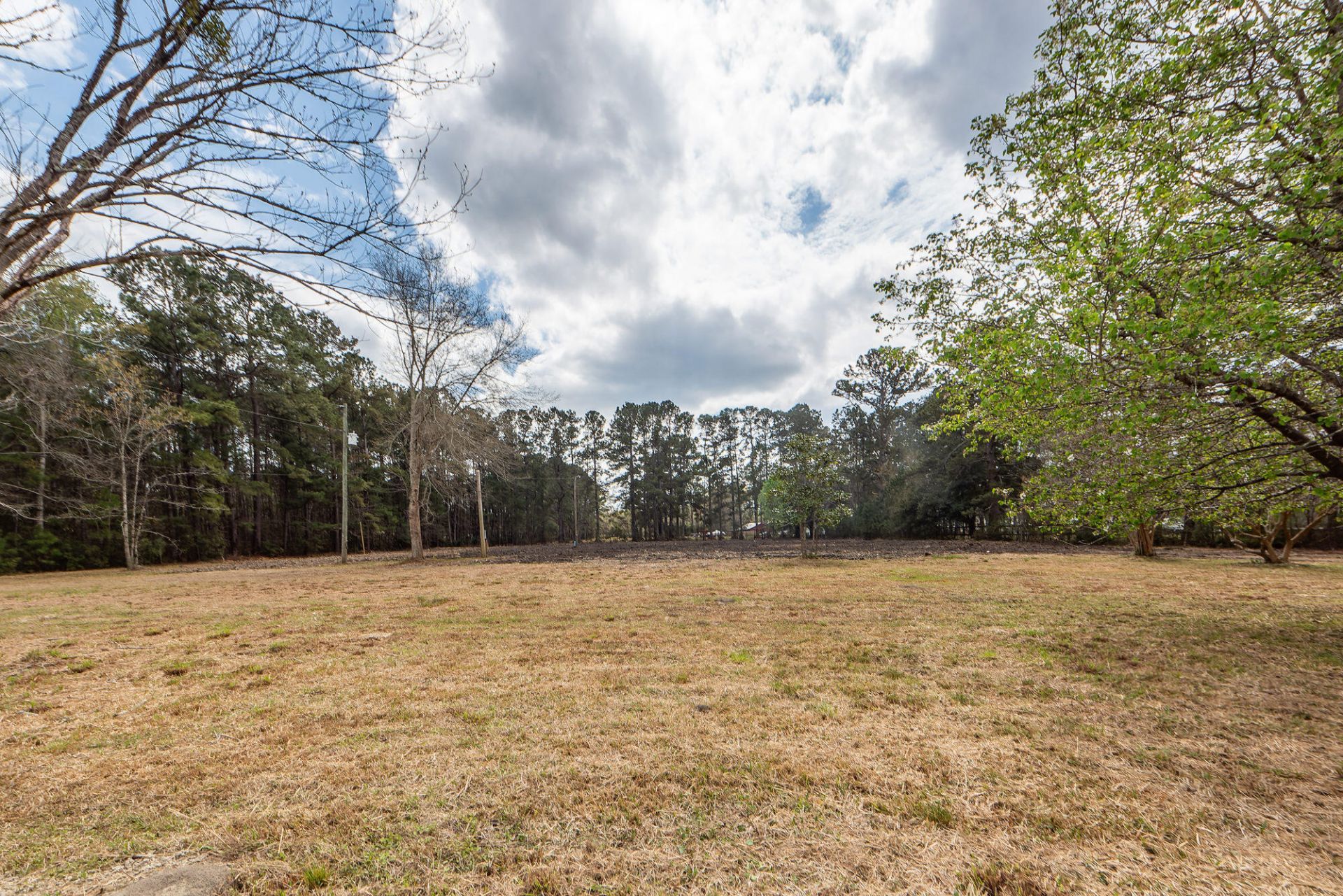 118 Ponderosa Road Photo 19