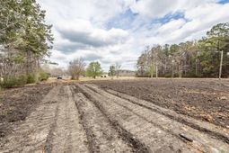 118 Ponderosa Road photo 4