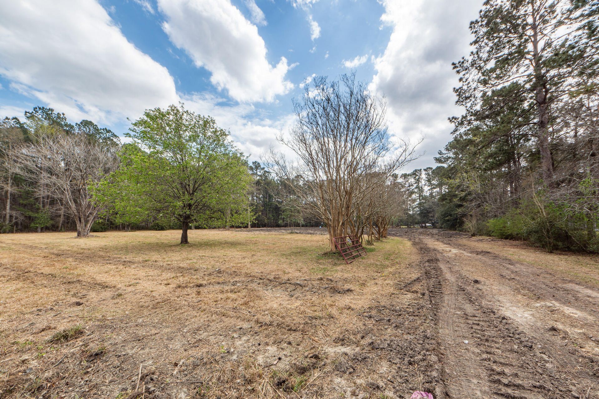 118 Ponderosa Road Photo 20