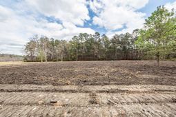 118 Ponderosa Road photo 4