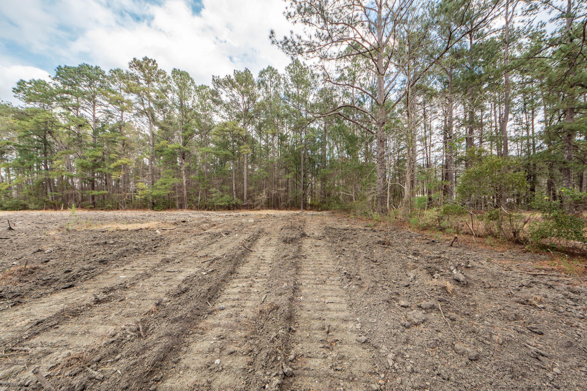 118 Ponderosa Road Photo 8