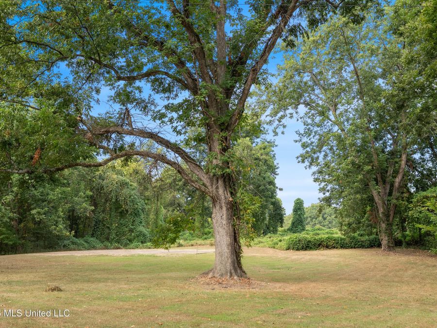 Property Image 68