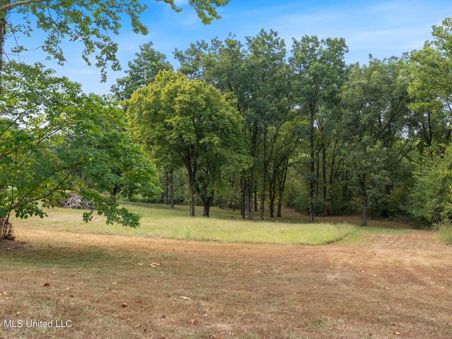 Property Image 69