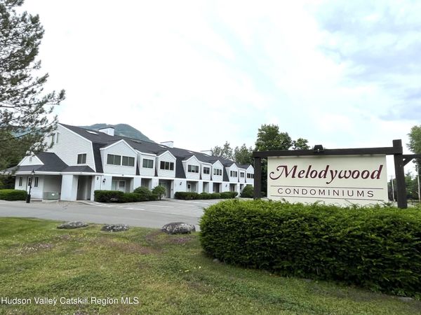 7625 Main Street, Unit A1, Hunter, NY 12442