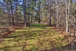 1020 Cedar Creek Road  photo 4
